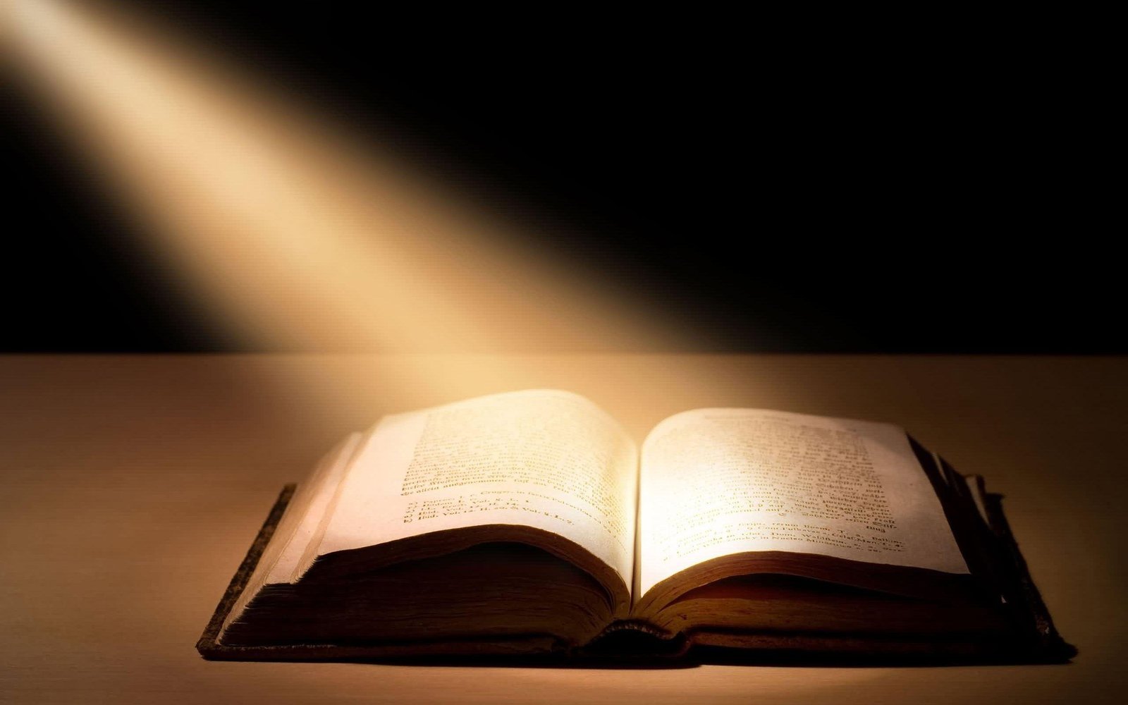Weekly Reflection